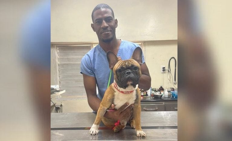 Familia preocupada tras la desaparición de un veterinario en La Habana