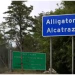 Alligator Alcatraz es uno de los centros de detención más polémicos. (Captura de pantalla © Channel 4 News- YouTube)