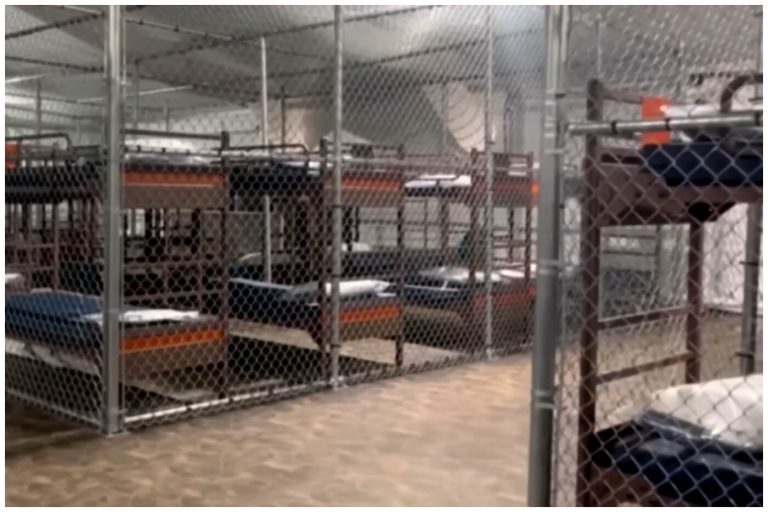 Trump apela fallo de jueza federal que ordena cierre de ‘Alligator Alcatraz’