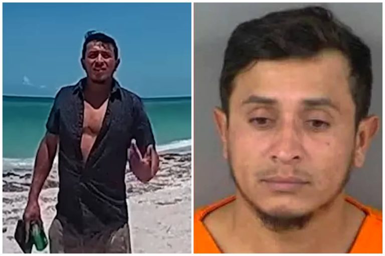 Migrante que salvó a niña de 9 años de un tiburón en Florida es detenido por ICE