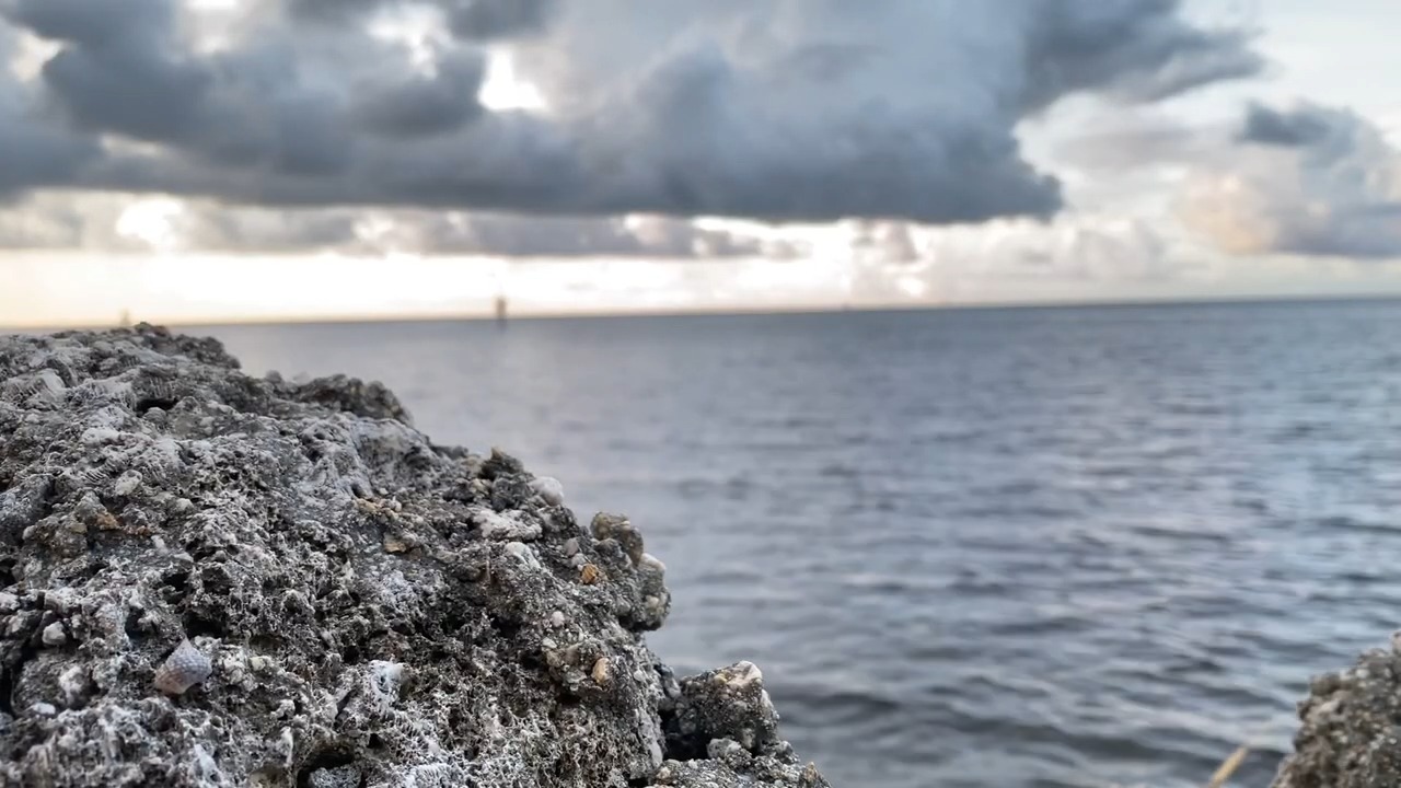 Imagen ilustrativa de las aguas de Key Largo. (Captura de pantalla © Christine Lozada-YouTube)