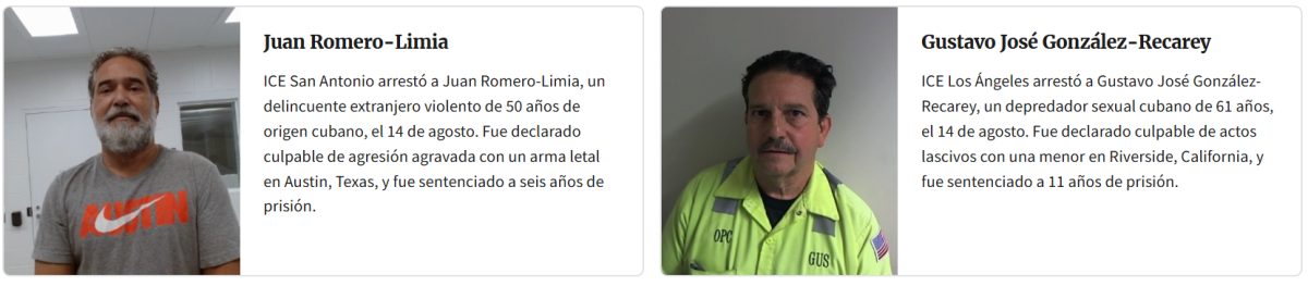 Las autoridades presumieron la detención de estos y otros migrantes. (Captura de pantalla © ice.gov-Web)