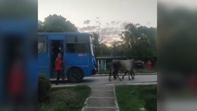 La imagen ha recorrido las redes. (Captura de pantalla © Jesus Carrillo-Facebook)