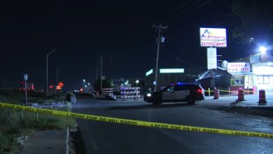 Policía de Austin investigando el área del crimen. (Captura de pantalla © FOX 7 Austin-YouTube)