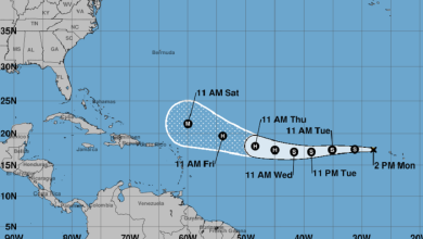 Tormenta tropical Erin. (Captura de pantalla © Centro Nacional de Huracanes)