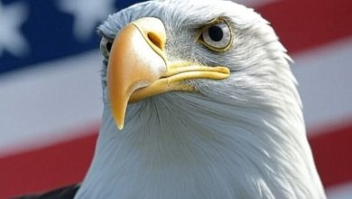 Las autoridades norteamericanas tomarán en cuenta conductas antiamericanas a la hora de evaluar sus solicitudes.