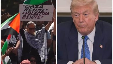 El gobierno de Trump ha apoyado a Israel y criminalizado el apoyo a Palestina. (Captura de pantalla YouTube © DW Español/ Associated Press)