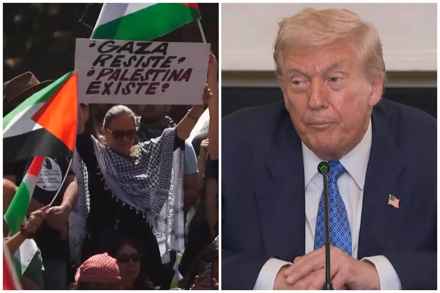 El gobierno de Trump ha apoyado a Israel y criminalizado el apoyo a Palestina. (Captura de pantalla YouTube © DW Español/ Associated Press)