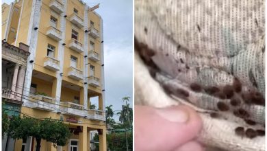 El hotel Puerto Príncipe expandió la plaga de chinches dos cuadras a la redonda. (Captura de pantalla © José Luis Tan Estrada- Facebook/ Azteca Noticias- YouTube)