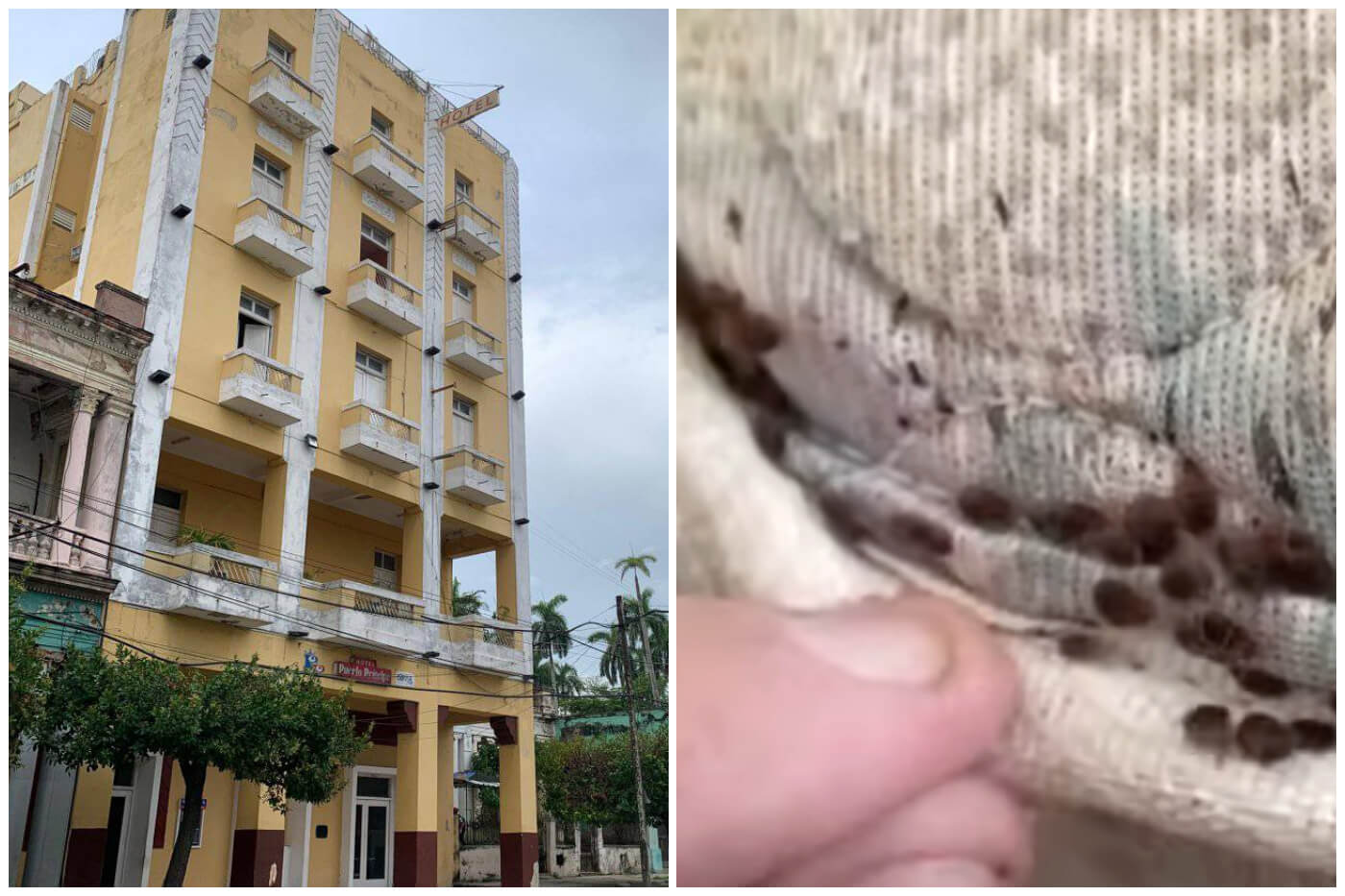 El hotel Puerto Príncipe expandió la plaga de chinches dos cuadras a la redonda. (Captura de pantalla © José Luis Tan Estrada- Facebook/ Azteca Noticias- YouTube)
