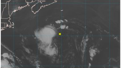 La tormenta tropical podría aumentar su categoría significativamente en los próximos días. (Captura de pantalla © National Hurricane Center- X)
