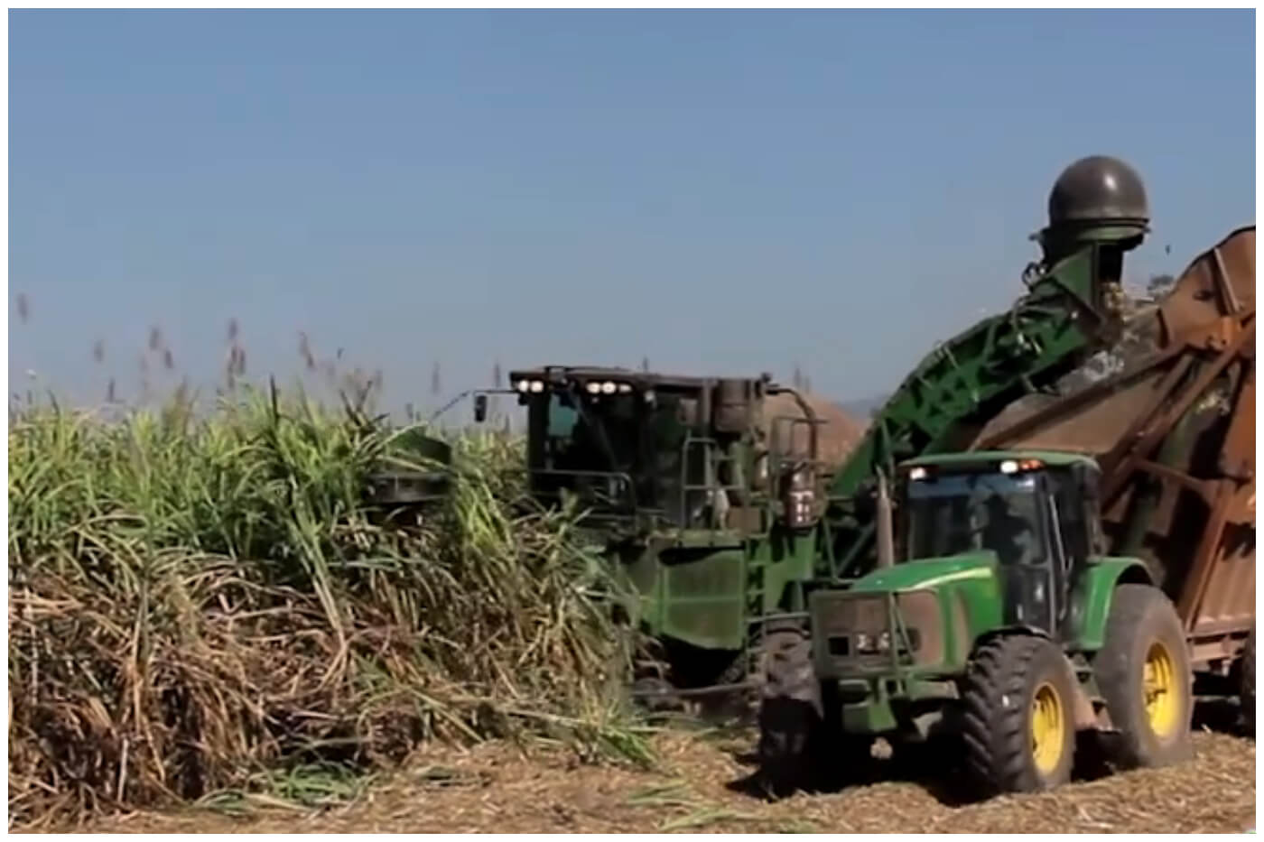 La cosecha de caña en Cuba fue una vez de gran importancia en el continente. Imagen de referencia. (Captura de pantalla © Kampu Agro- YouTube)