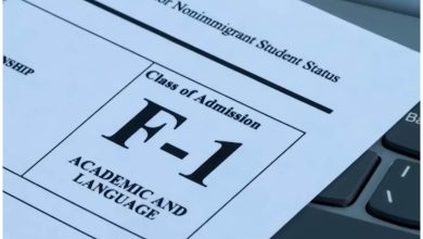 Aprobación de una visa de estudiante en EEUU. Imagen de referencia. (Captura de pantalla © CNN Español- YouTube)