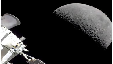 Lanzamiento del Artemis I, la primera fase de la nueva misión, en 2022. Imagen de referencia. (Captura de pantalla © Digital Astronaut- YouTube)