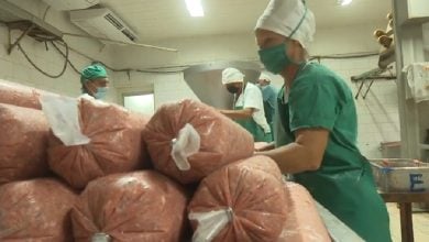 Procesamiento de carne en Cuba. (Captura de pantalla © CNC TV Granma-YouTube)
