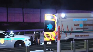 Momento en el que el joven fue detenido. (Captura de pantalla © Telemundo 51)