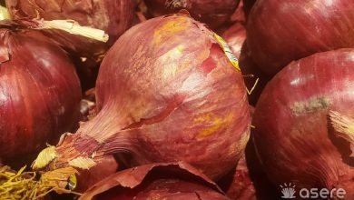 Imagen ilustrativa de cebollas en un mercado. (Foto © Asere Noticias)