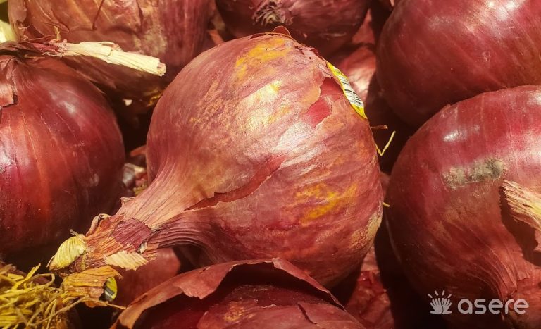 Excesivo: precio de la cebolla supera los 1.000 CUP en varias provincias