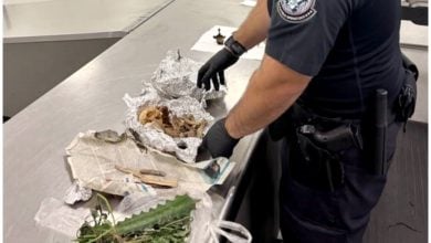 El pasajero aseguró que usaba su cráneo y huesos para santería. (Foto © Director of Field Operations Carlos C. Martel- X)