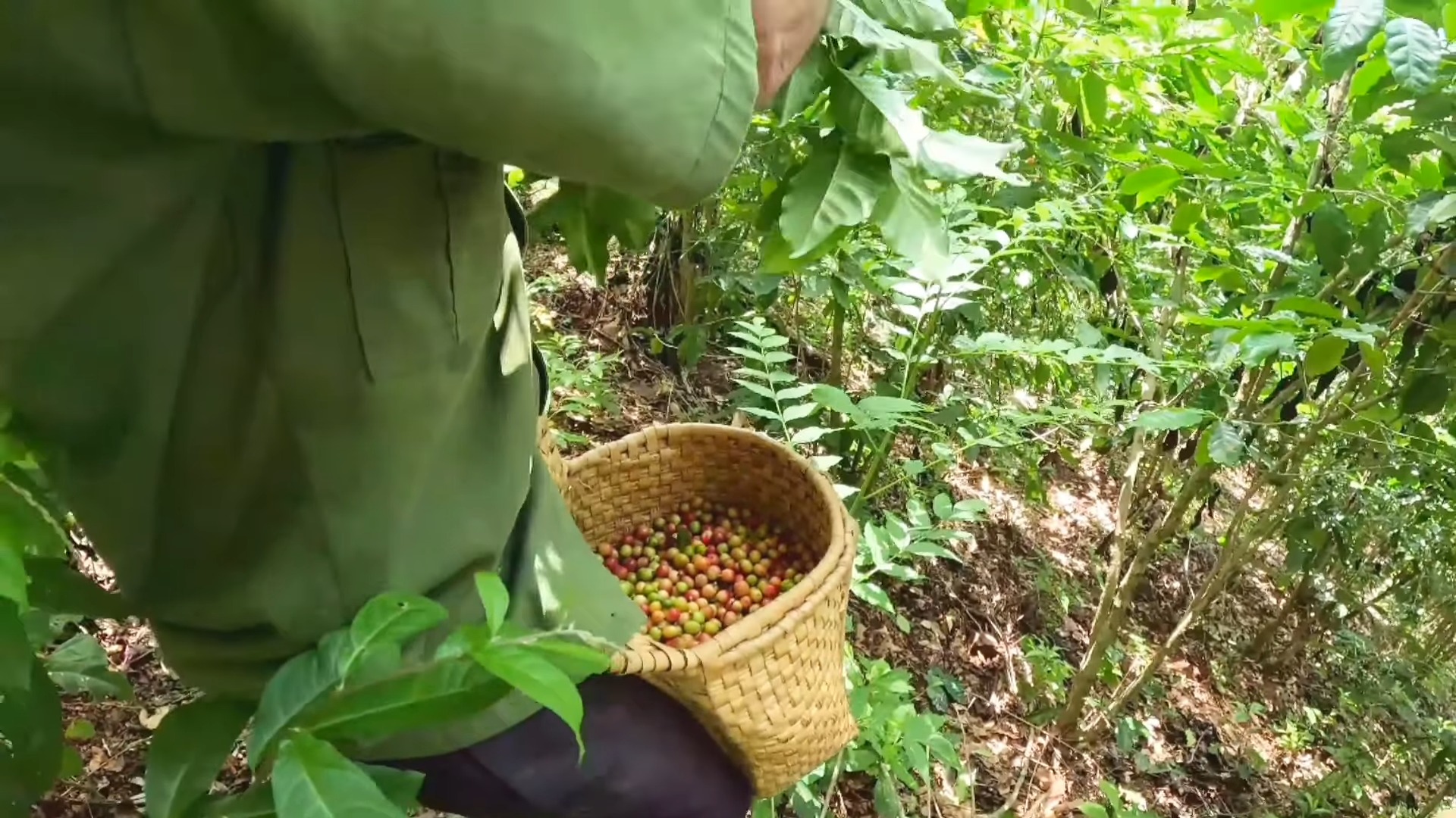 Los campesinos exigen un pago justo. (Captura de pantalla © Guajirita Cubana-YouTube)