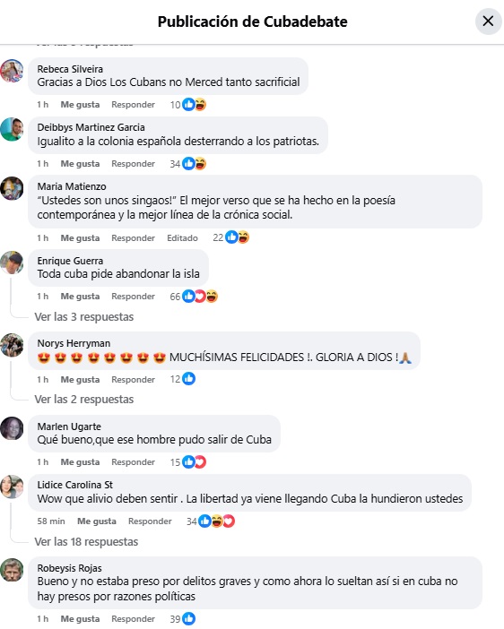 Algunos de los comentarios a favor de Ferrer. (Captura de pantalla © Cubadebate-Facebook)