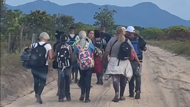 El grupo fue visto actuando desorientado en la carretera. (Captura de pantalla © FOLHA BV)