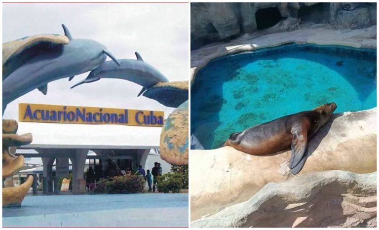 Denuncian condiciones deplorables en el Acuario Nacional de Cuba
