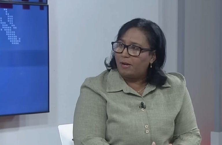 ¿Entonces no van a fumigar?: viceministra recomienda quemar cítricos para lidiar con mosquitos