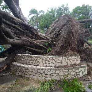 Imágenes del oriente cubano tras el paso de Melissa. (Foto © Lázaro Manuel – Facebook)