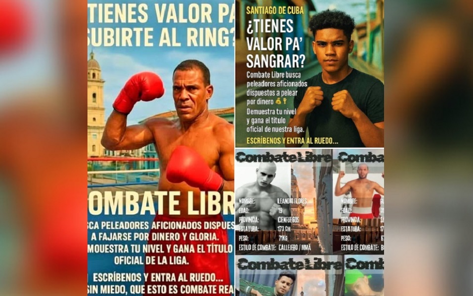 Los anuncios ofrecen dinero a cambio de las peleas. (Captura de pantalla © Julio Gonpagés-Facebook)