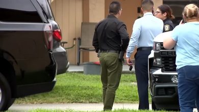 Las autoridades arribaron a la escena del crimen tras la denuncia de algunos vecinos. (Captura de pantalla © WPLG Local 10-YouTube)