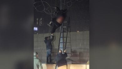 Las autoridades tuvieron que rescatar a la mujer. (Foto © CBP-Twitter)