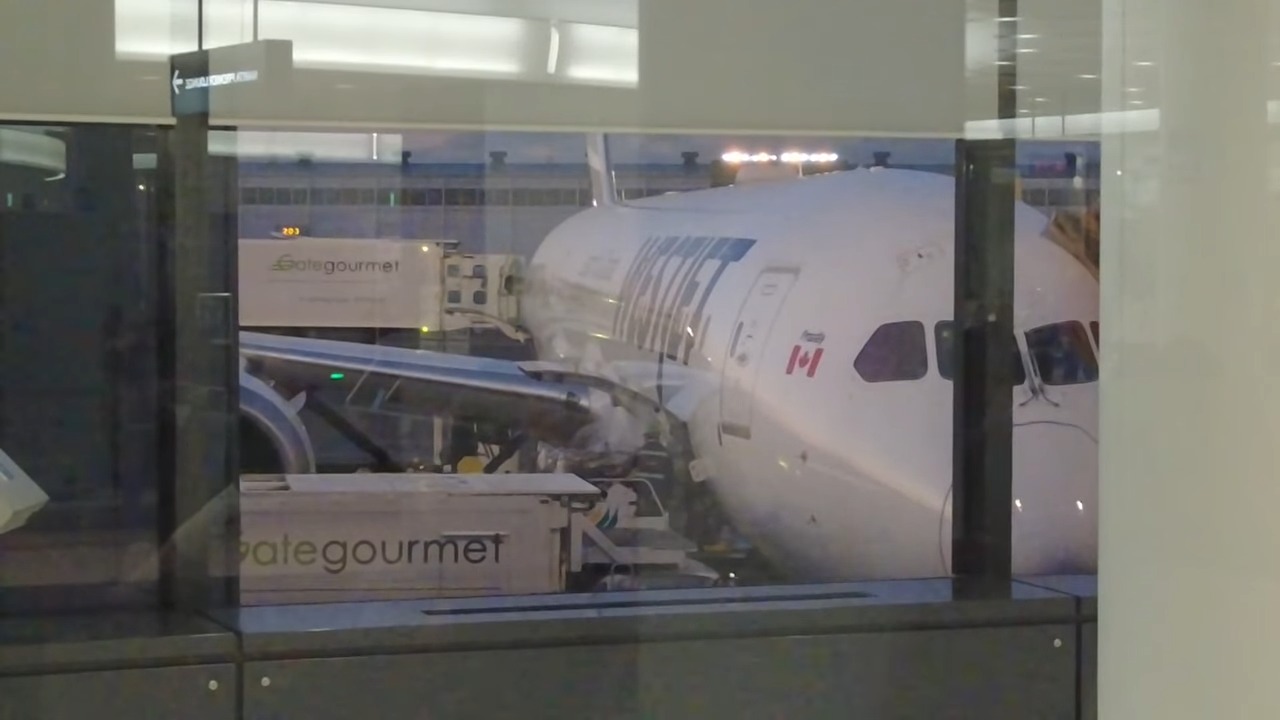 Avión de la aerolínea canadiense WestJet. (Captura de pantalla © The Global Peasant-YouTube)