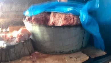 Picadillo distribuido por el régimen. (Foto © Tvsantiago-Facebook)