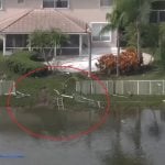 Una vivienda resultó dañada por el impacto, antes de que la avioneta se hundiera en el agua. (Captura de pantalla © WPLG Local 10-YouTube)