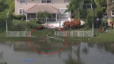 Una vivienda resultó dañada por el impacto, antes de que la avioneta se hundiera en el agua. (Captura de pantalla © WPLG Local 10-YouTube)