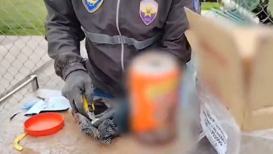 La policía localizó la sustancia tras revisar los paquetes. (Captura de pantalla © PoliciaEcZona9-Twitter)