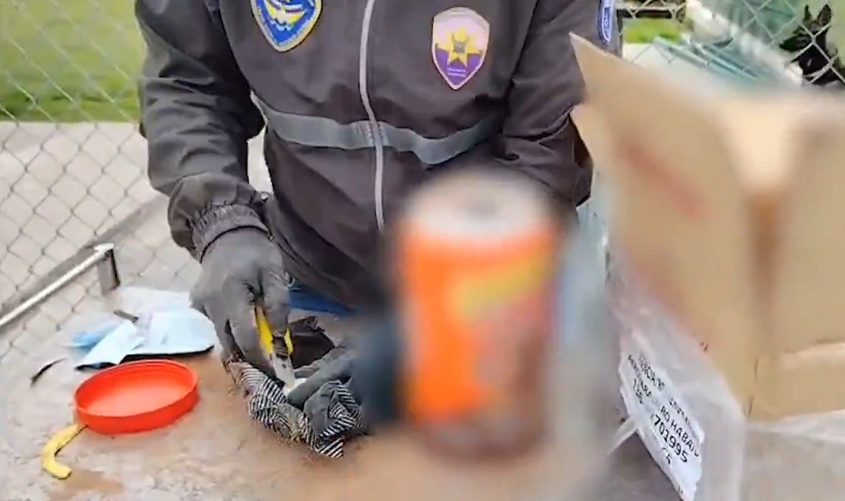 La policía localizó la sustancia tras revisar los paquetes. (Captura de pantalla © PoliciaEcZona9-Twitter)