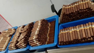 En total, las autoridades encontraron más de 2.200 tabacos. (Foto © vicejefeagr-Twitter)