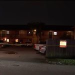 Las autoridades arribaron a la escena, pero el atacante y la víctima ya habían fallecido. (Captura de pantalla © Telemundo 51)