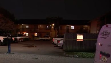 Las autoridades arribaron a la escena, pero el atacante y la víctima ya habían fallecido. (Captura de pantalla © Telemundo 51)