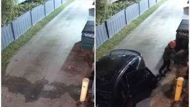 Video de vigilancia compartido por el negocio. (Captura de pantalla © Valencia Perfumes VP-YouTube)