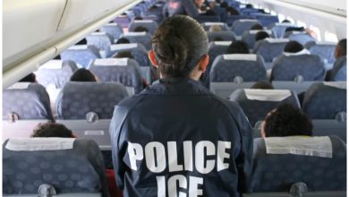 Además de los que envía a Cuba, EEUU manda cubanos a terceros países, incluso a África. (Captura de pantalla © wwwICEgov- YouTube)