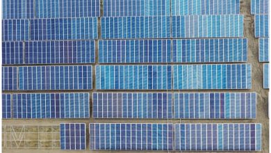 Paneles solares, un solo parque puede tener hasta miles de paneles con baterías de almacenamiento. (Captura de pantalla © Cambio16- YouTube)