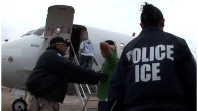 Vuelo de deportación de inmigrantes. Imagen de referencia. (Captura de pantalla © wwwICEgov- YouTube)