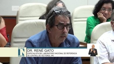 Autoridades sanitarias advierten de inminente aumento de dengue y chikungunya. (Captura de pantalla © Canal Caribe-YouTube)