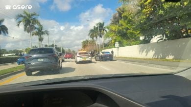 Vehículos en Florida. (Foto © Asere Noticias)