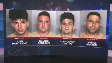 Cubanos detenidos por caza ilegal en propiedad privada. (Captura de pantalla © Gulf Coast News-YouTube)