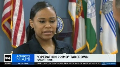 Las autoridades de Miami indicaron que los arrestados operaban en varios vecindarios de la ciudad. (Captura de pantalla © CBS Miami-YouTube)
