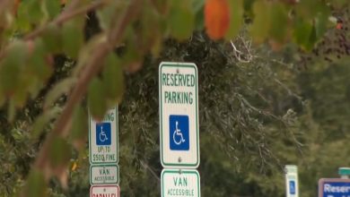 Espacio de estacionamiento para personas con discapacidad en Florida. (Captura de pantalla © WESH 2 News-YouTube)